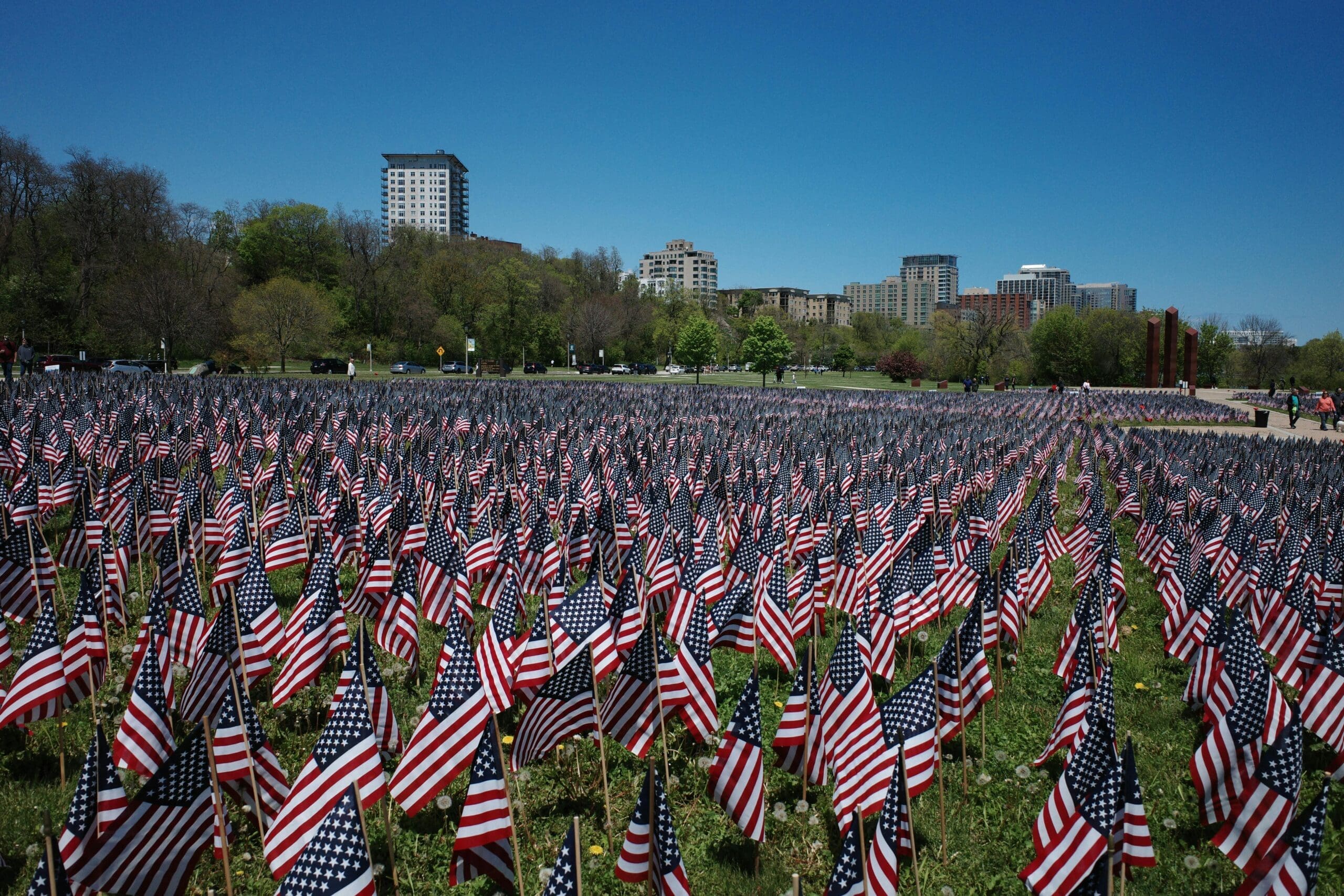A massive field filled with thousands of small American flags planted in the green grass on a sunny day, with a city skyline and trees in the background under a clear blue sky.